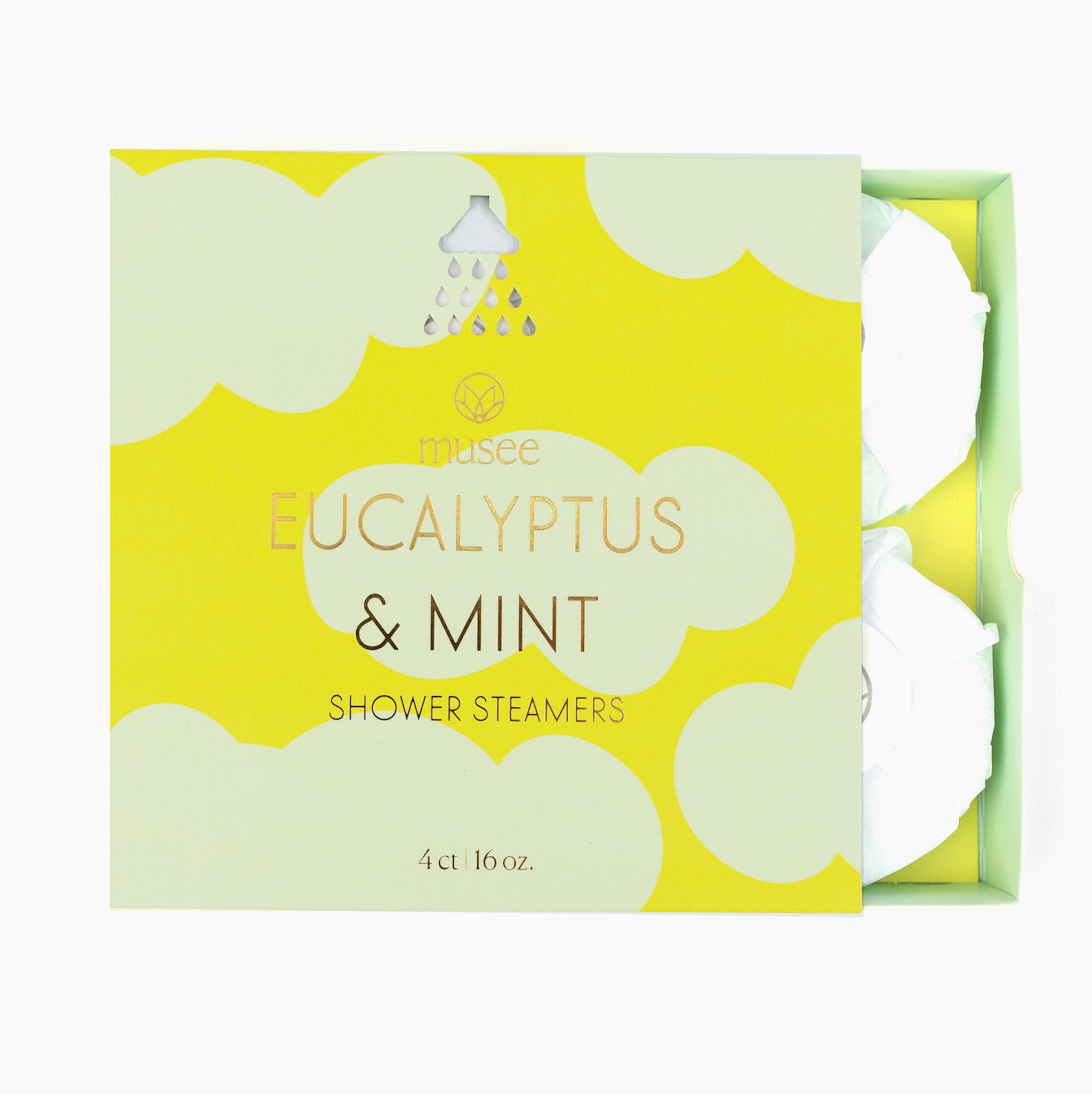 Eucalyptus & Mint Shower Steamers Tumbleweeds & Notions